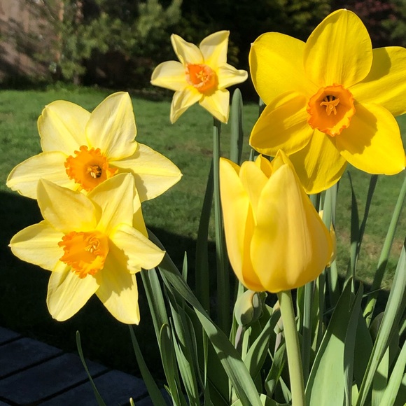 Meet your Posher, - Picture 1 of 2